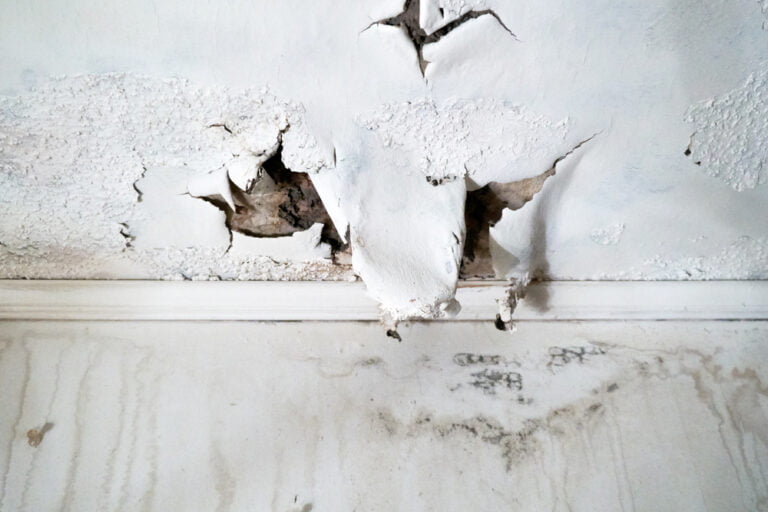 Learn How to Spot and Address Water-Damaged Drywall